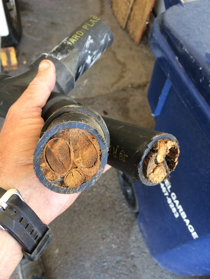 Pipe clogged with tree roots requiring hydro jetting in San Luis Obispo County